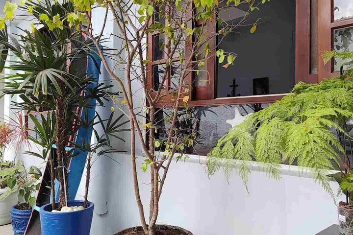 Terrace/Patio 15 of 44