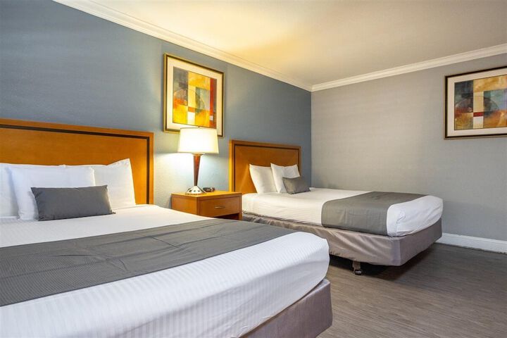 Standard Room, King or Two Doubles (11 of 15)