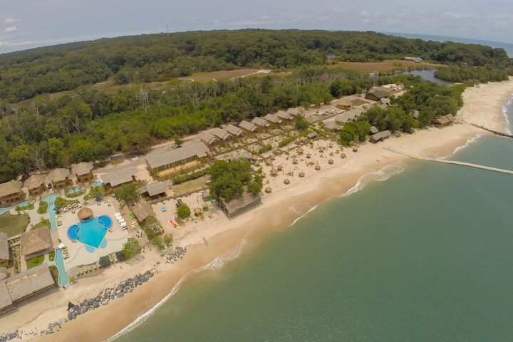 La Baie des Tortues Luth