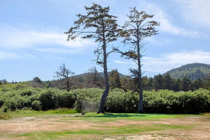 Property Grounds 17 of 23