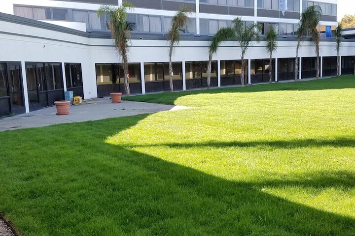 Courtyard