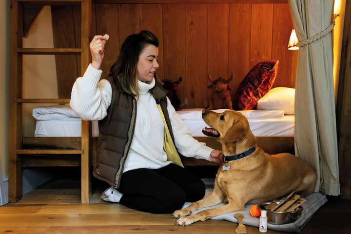 Pet Friendly 67 of 108