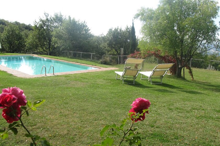 Pool 12 of 58