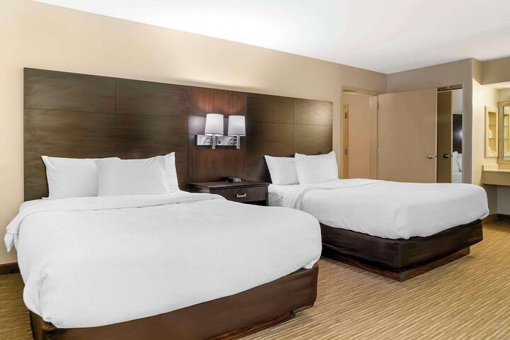 Standard Room, King or Two Doubles (4 of 6)