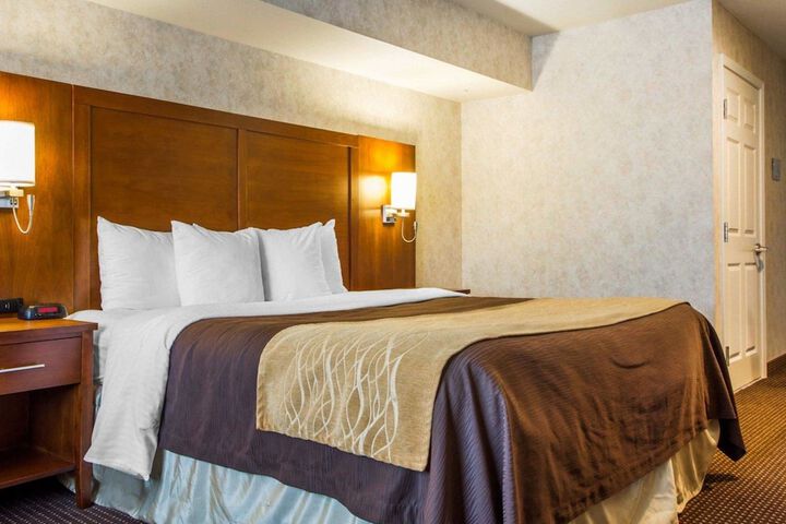 1 King Bed (10 of 18)