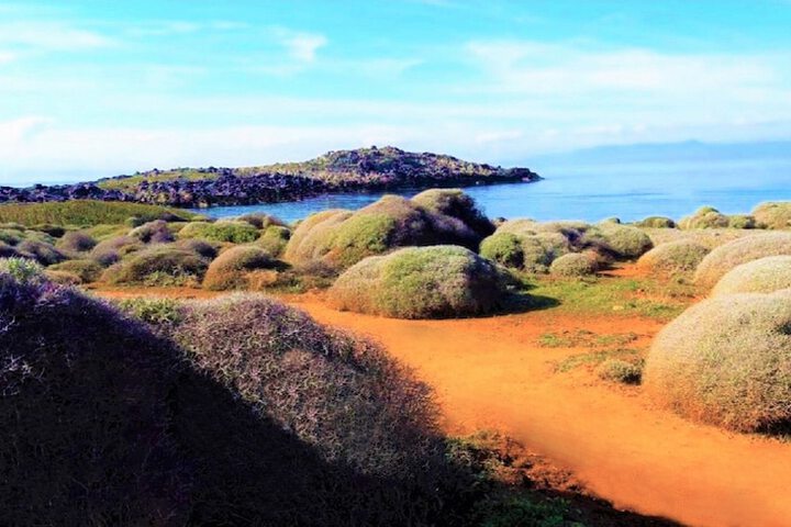 Beach 57 of 88