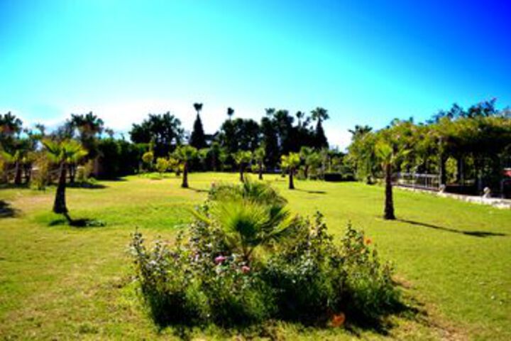 Le Jardin Des Roses