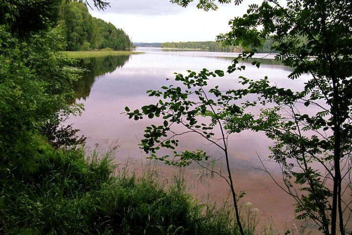 Property Grounds 7 of 23