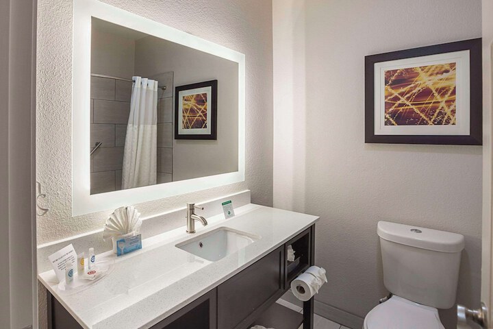 1 King Bed Suite (21 of 21)