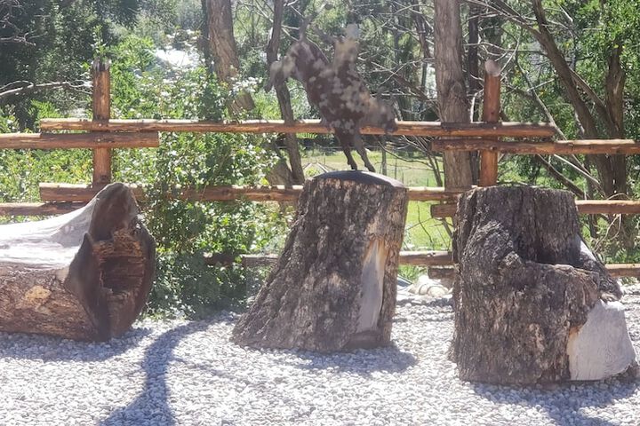 Property Grounds 58 of 100