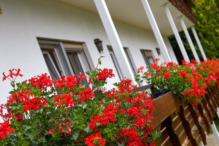 Terrace/Patio 60 of 60