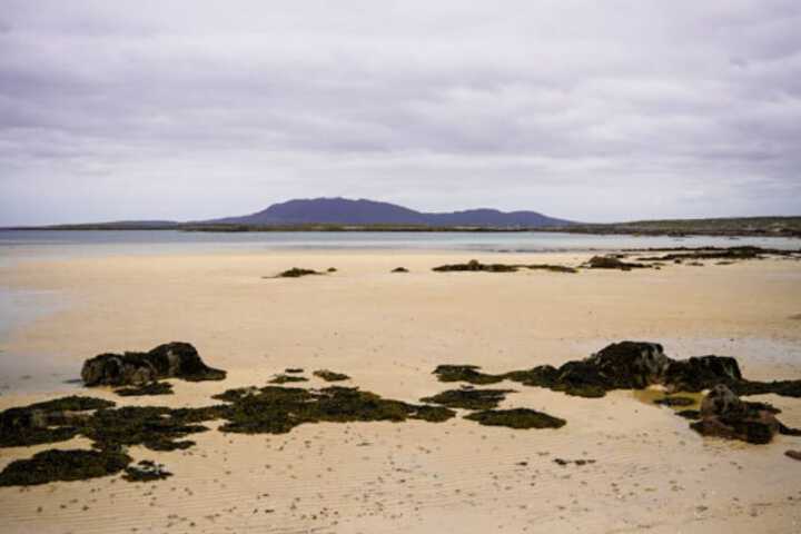 Beach 58 of 77