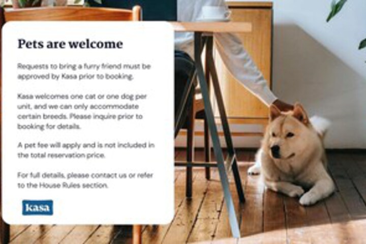 Pet Friendly 104 of 188