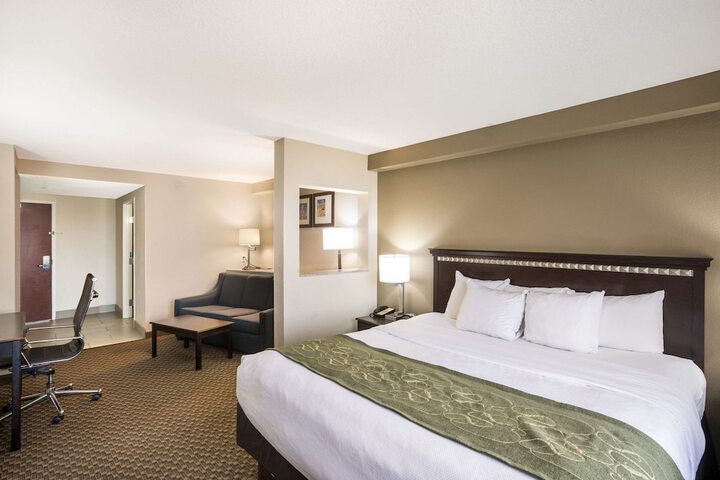 Suite 1 King Bed (12 of 19)