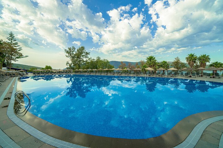 Pool 38 of 104
