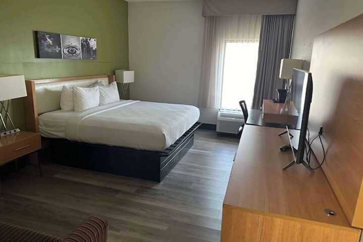 1 King Bed Accessible (6 of 15)
