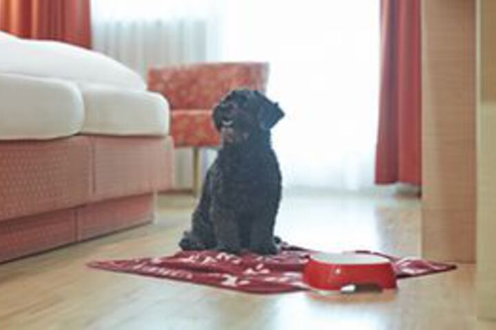 Pet Friendly 50 of 74