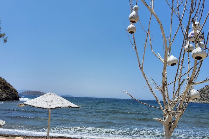 Beach 109 of 131