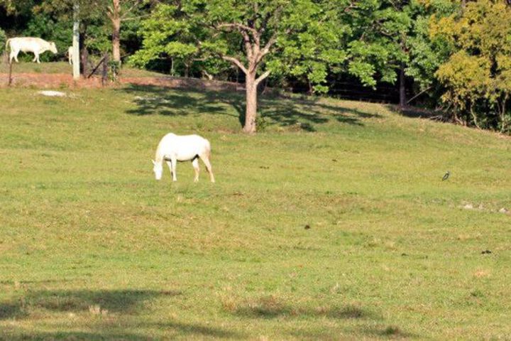 Property Grounds 39 of 39