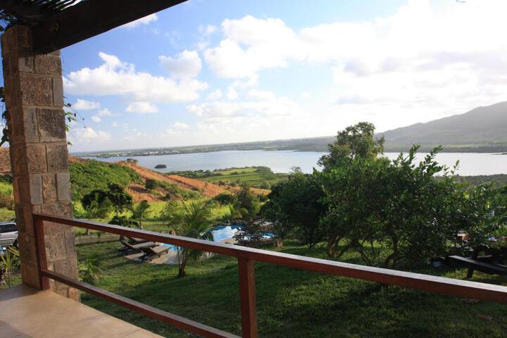 View