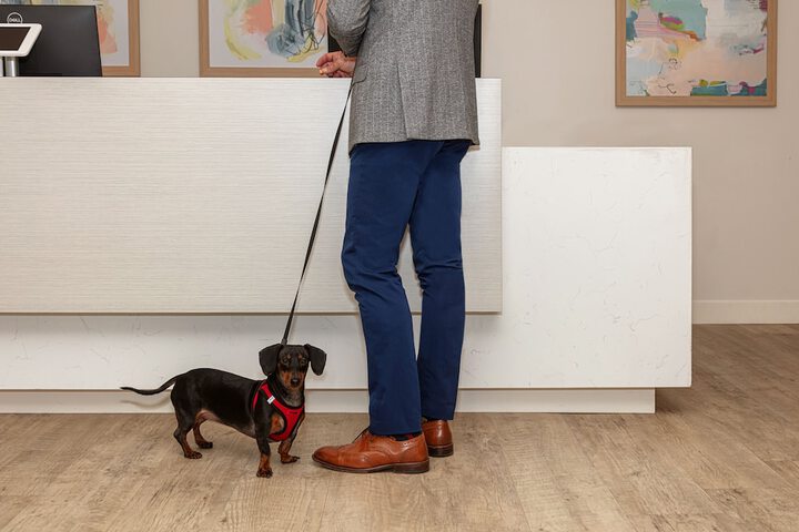 Pet-friendly amenities