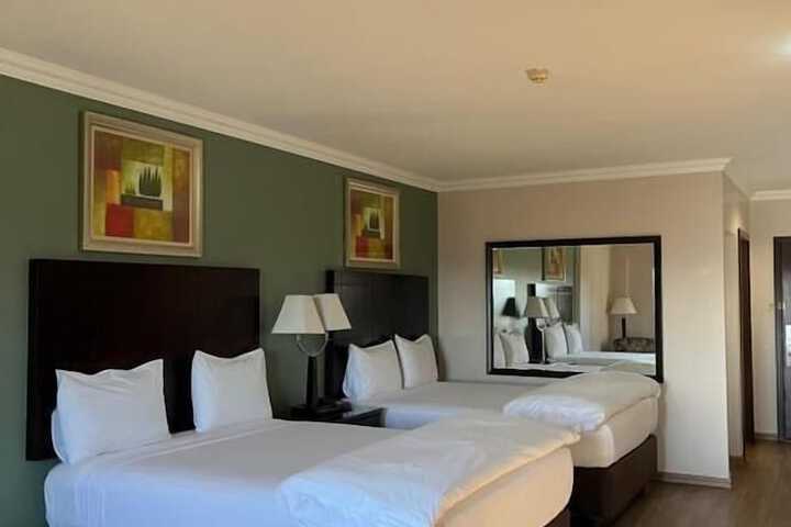 Room 4 of 24