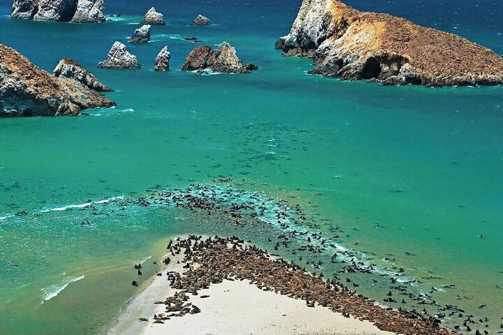 Beach 19 of 20