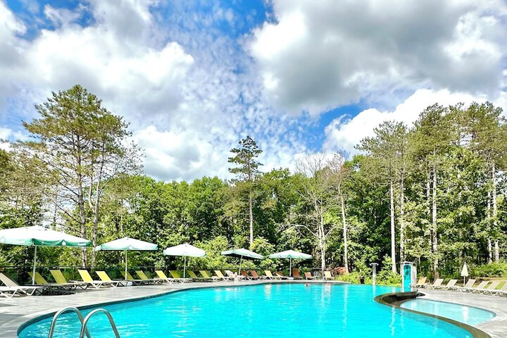 Pool 56 of 113