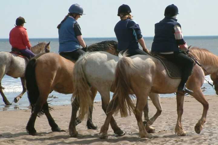 Horseback riding