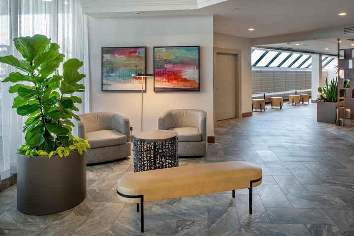 Entrance & Lobby