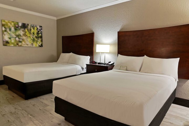 Double Accessible King Size Bed (9 of 10)