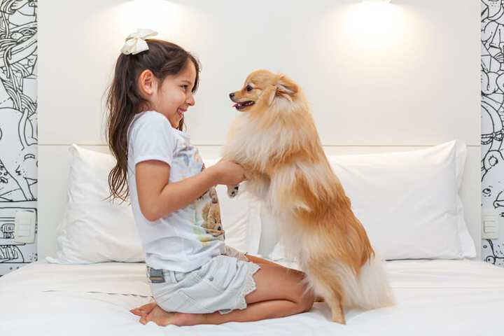 Pet Friendly 34 of 50