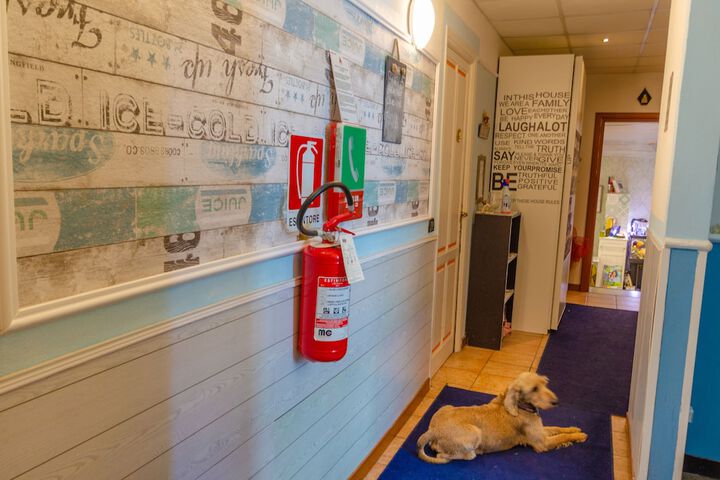 Pet Friendly 37 of 56