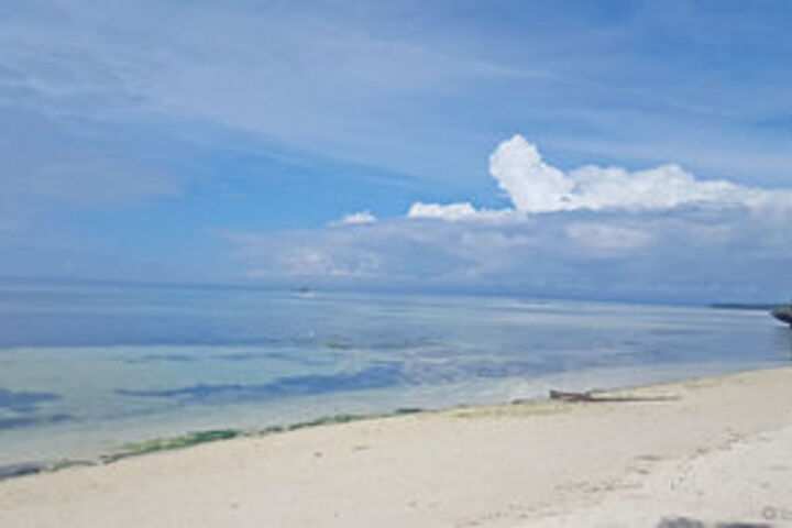 Beach 6 of 30