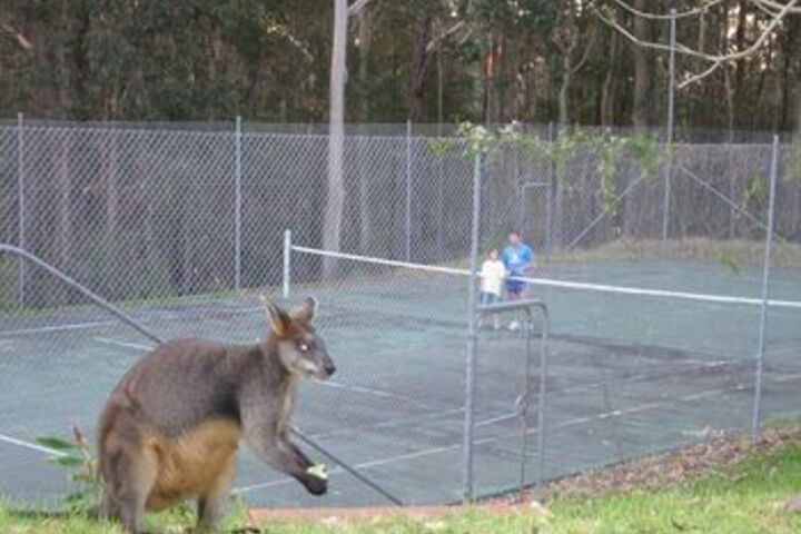 Tennis and Basketball Courts 169 of 177