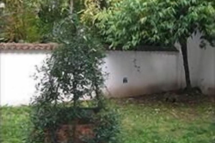 Property Grounds 24 of 29