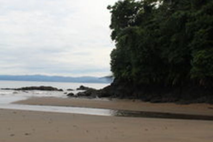 Beach 15 of 70