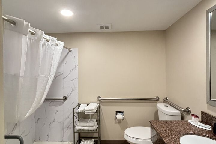 1 King Bed Deluxe Accessible Room Roll in Shower with Grab Bars (15 of 17)