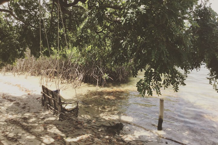Beach 52 of 65