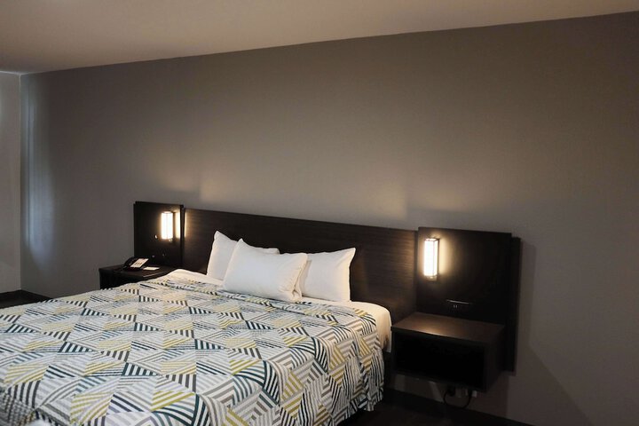 Deluxe Room 1 King Bed Refrigerator, Microwave (4 of 18)
