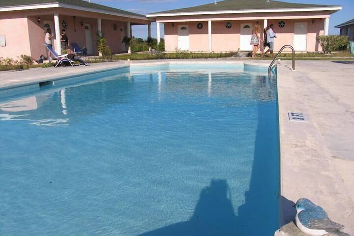 Pool 3 of 16