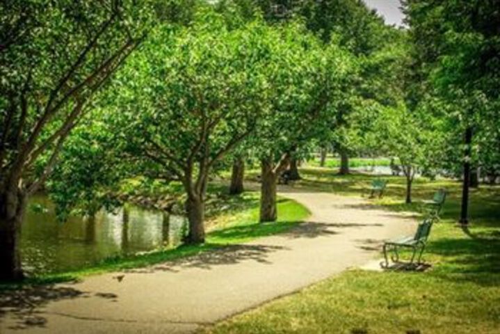 Property Grounds 50 of 55