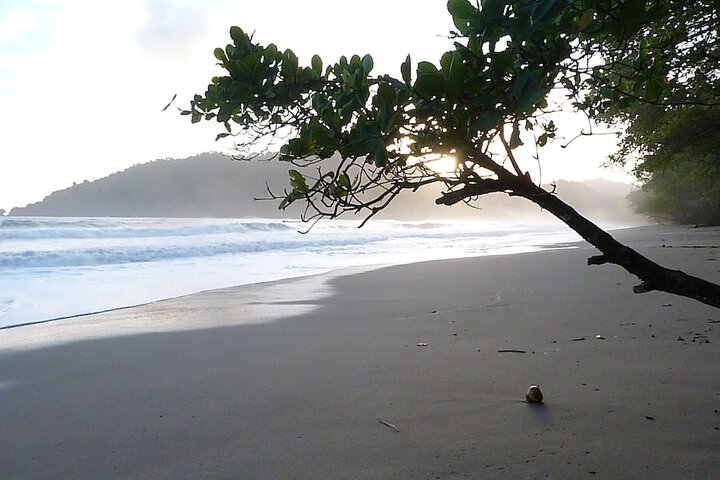 Beach 45 of 49