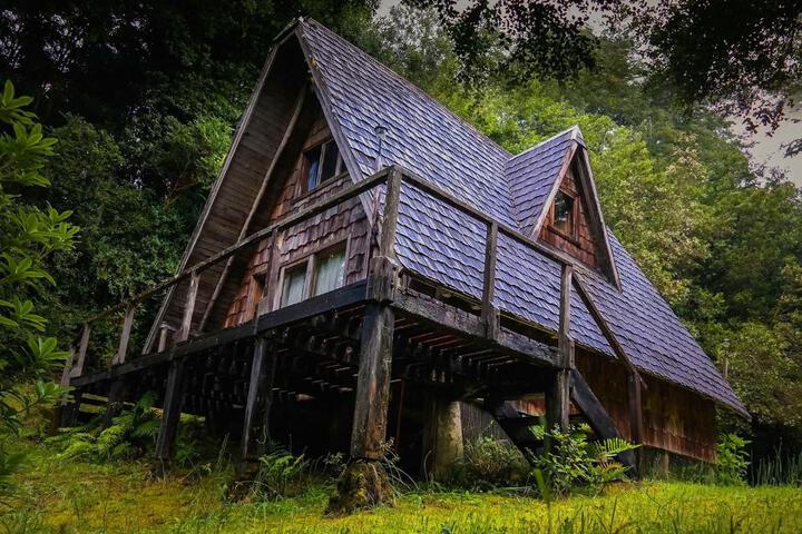 Ralun Patagonia