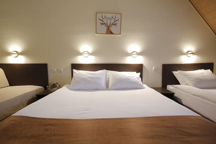 Room 10 of 113