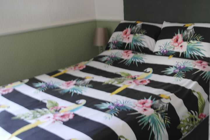 Room 12 of 35