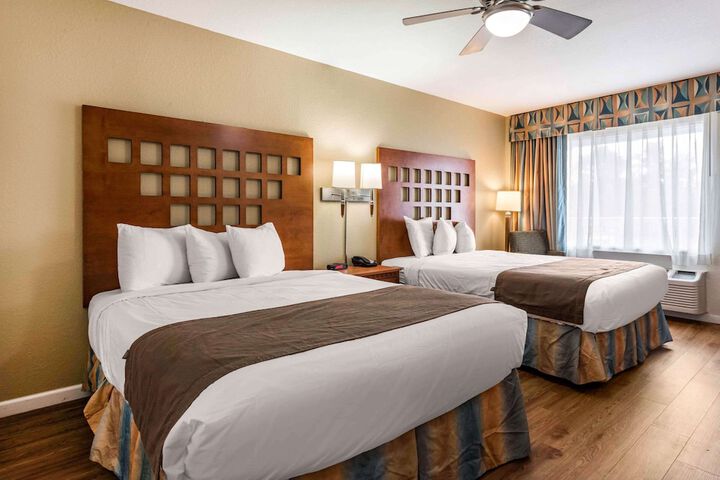 2 Queen Beds (24 of 49)