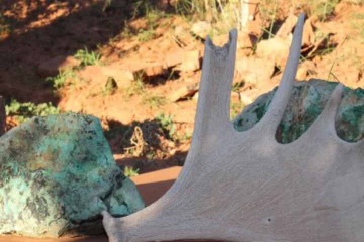 General 6 of 49