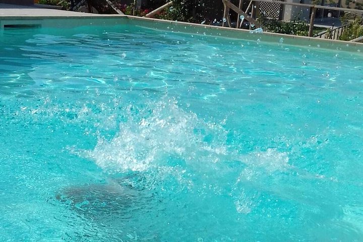Pool 15 of 21