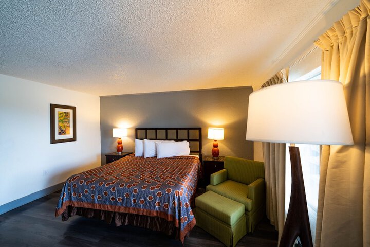1 King Bed (6 of 16)